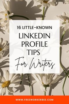 white daisies with the words 16 little - known linkedin profile tips for writer's