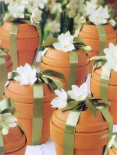 several orange pots with white flowers and green ribbons on them are sitting on a table