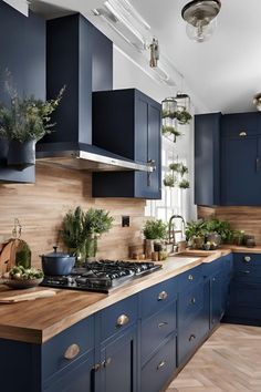 a kitchen with blue cabinets and wooden counter tops, potted plants on the stove