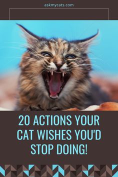 a cat with its mouth open and the words 20 actions your cat wishes you'd stop doing