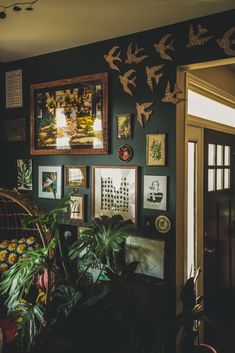 there are many pictures on the wall in this living room with plants and other decorations