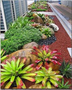 an assortment of plants and rocks on the side of a building