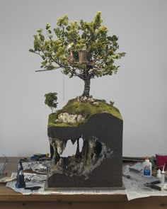 a bonsai tree on top of a rock in the middle of a work area