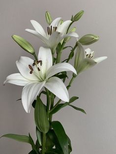 some white flowers are in a vase with green leaves on the table and gray wall behind them