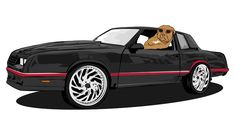 a black car with red stripes and a dog in the driver's seat, on a white background