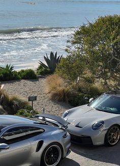 two sports cars parked next to each other near the ocean and trees with plants in front of them