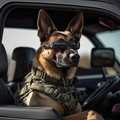 a dog wearing goggles in the back seat of a car