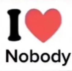 an i love nobody sticker with a heart