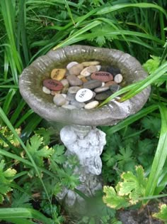 a bird bath with rocks in it surrounded by green grass and plants on the ground