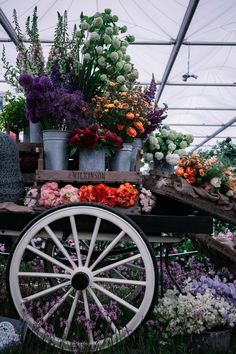 an old wagon filled with lots of flowers