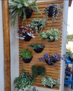 a wall mounted planter filled with lots of plants