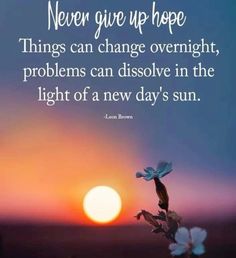 the sun is setting behind a flower with a quote on it that says, never give up hope things can change overnight, problems can dissolve in the light of a new day's sun