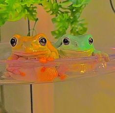 two frogs sitting on top of each other in front of a mirror with plants behind them