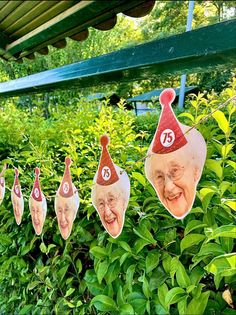 a bunch of fake heads hanging from the side of a green bush with trees and bushes in the background