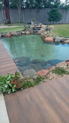 a small pond in the middle of a yard with rocks and plants growing around it