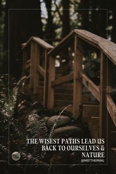 The wisest paths are those that lead us back to ourselves. Nature understands this truth. Like water carving its path through stone, like steam rising to meet the forest canopy, our natural states of being are often most renewing. 🌿 Sauna And Cold Plunge, Contrast Therapy, Hot And Cold Therapy, Outdoor Showers, Cold Plunge, Outdoor Lounge Area, Forest Canopy, Cold Therapy