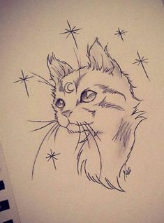 a drawing of a cat with stars in the background