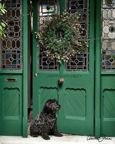 a black dog sitting in front of a green door