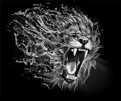 a black and white photo of a lion's head with water splashing around it