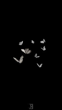 a group of white birds flying in the dark