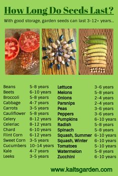 an info sheet describing how long do seeds last? and what they mean to be