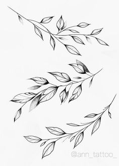 two branches with leaves on them are drawn in black ink, and one branch has been drawn