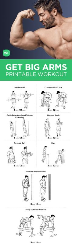 a poster with instructions to get big arms