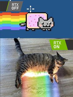 a cat laying on top of a wooden floor next to an image of a rainbow