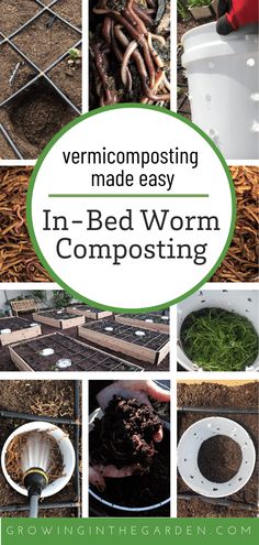 various pictures with words describing how to use composting in bed worms and worms