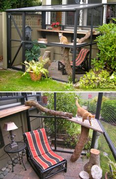 an outdoor cat house with cats in it and on the other side there is a chair