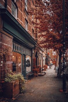 an empty city street lined with tall brick buildings and lots of trees on both sides