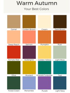 the color chart for warm autumn