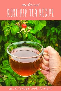 a person holding a cup of tea in their hand with the words, rose hip tea recipe