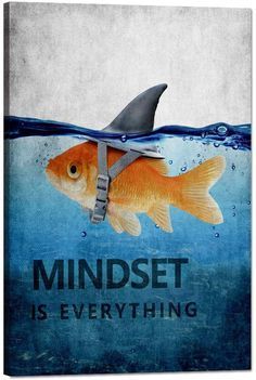 a goldfish with a shark's fin on its back and the words mindset is