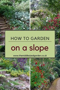 garden steps and flowers with text overlaying how to garden on a slope?