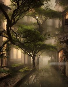 an alley way with trees and buildings in the fog