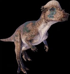 an image of a dinosaur in the air with its head turned to look like it is flying