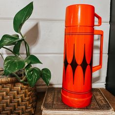 an orange coffee mug sitting next to a potted plant