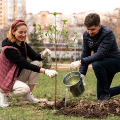 two people are planting trees in the park