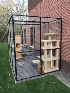 a caged in cat house with two cats inside