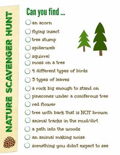 a sign that says, can you find the pine cone tree stump on this list?