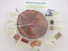 a tree stump with different types of wood on it and information about the structure behind it