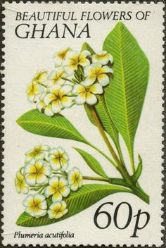 a stamp with flowers on it and the words, beautiful flowers of ghana