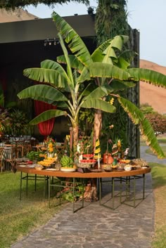 the table is set up with many different foods on it and there are palm trees in the background