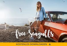 a woman leaning on the hood of an old car with seagulls in the background