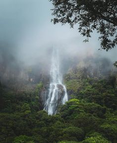 a large waterfall in the middle of a lush green forest