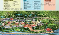 the map for disney's animal kingdom