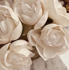 some white flowers sitting on top of a marble counter