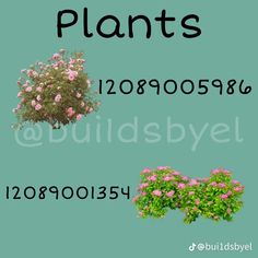 the letters and numbers for plants are shown in this image, with pink flowers growing out of them