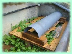 a pipe that is sitting in the ground next to some green plants and wood pallets